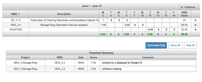 timesheet summary comments only.png